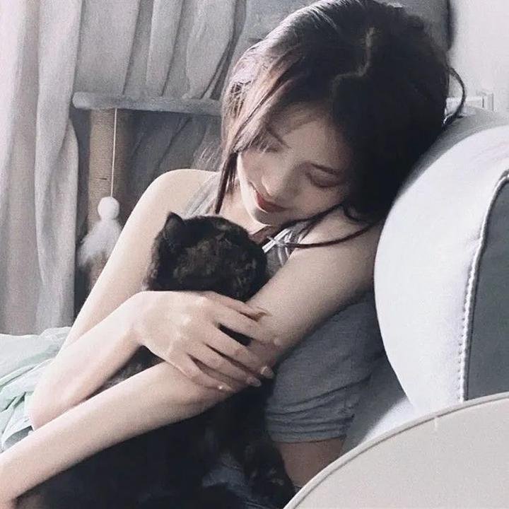 凡妮莎海辛第五季